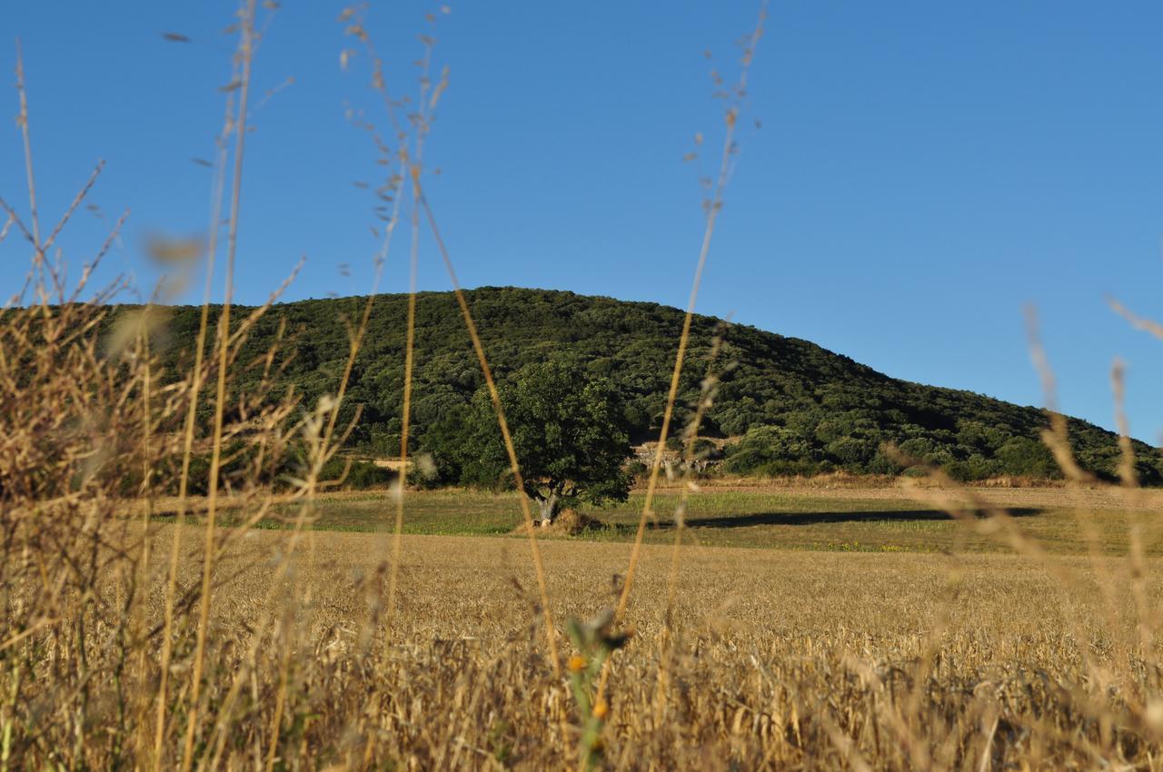 La Cabala De Ibeas Bed & Breakfast Ibeas de Juarros Екстериор снимка
